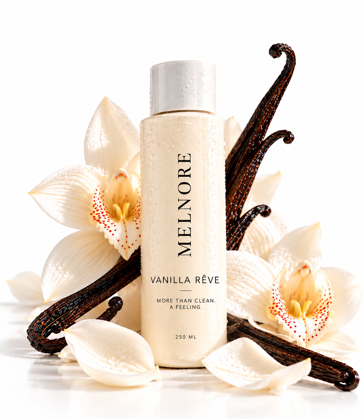 Vanilla Rêve — MELNORE